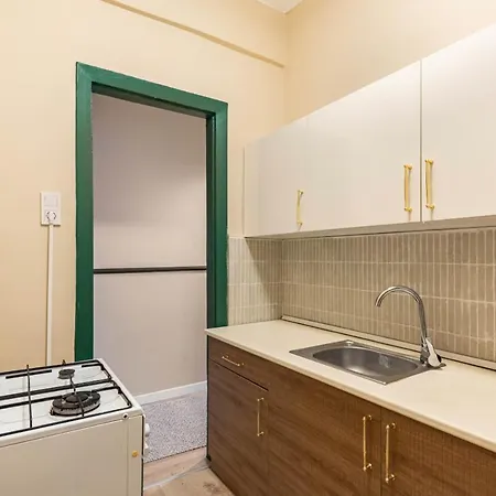 Stylish Flat With Excellent Location In Beyoglu